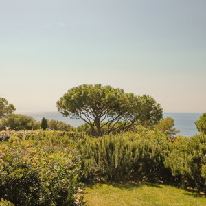 lilyofthevalley-chambre