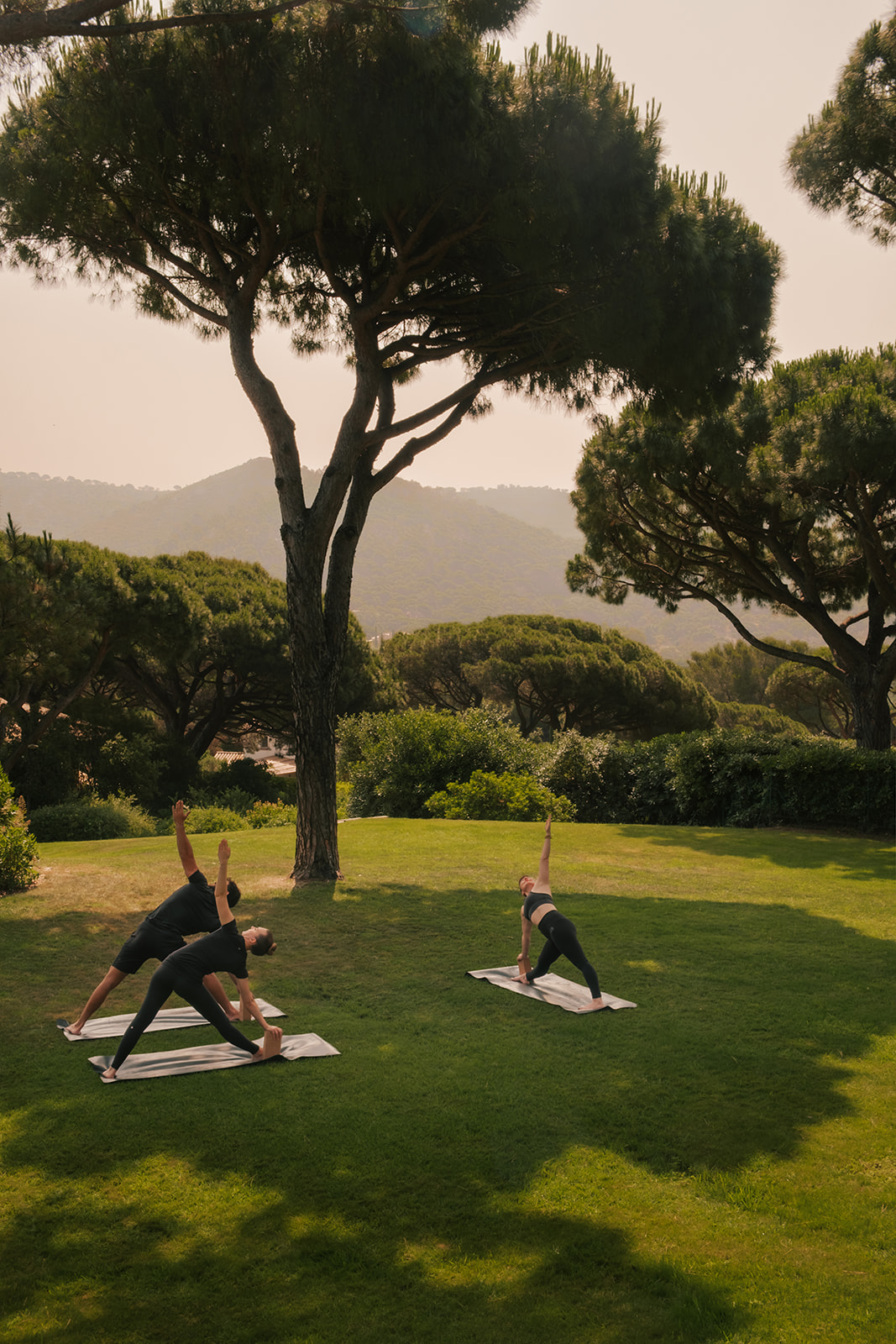 lilyofthevalley-prog-detox