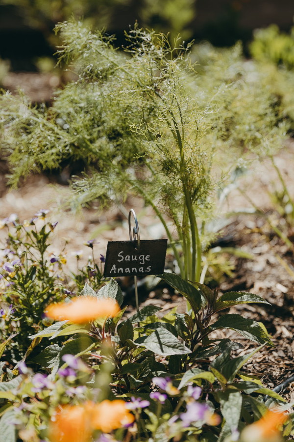 lilyofthevalley-Restaurant