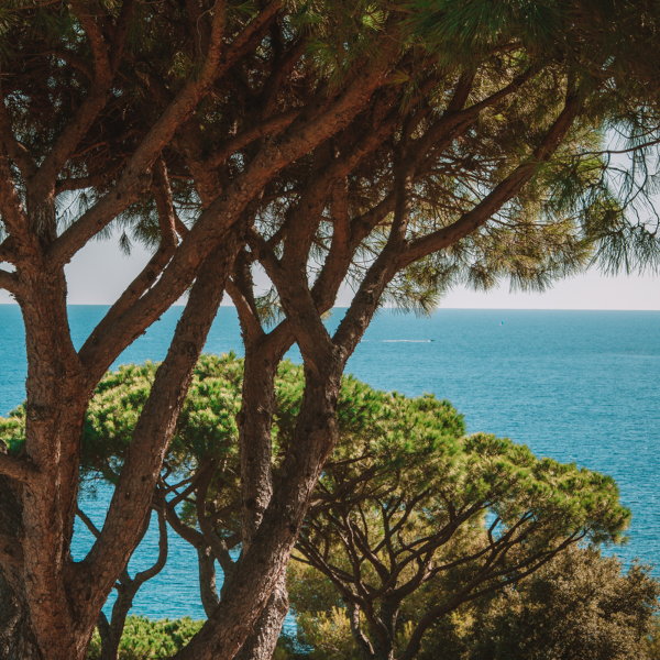 lilyofthevalley-hotel